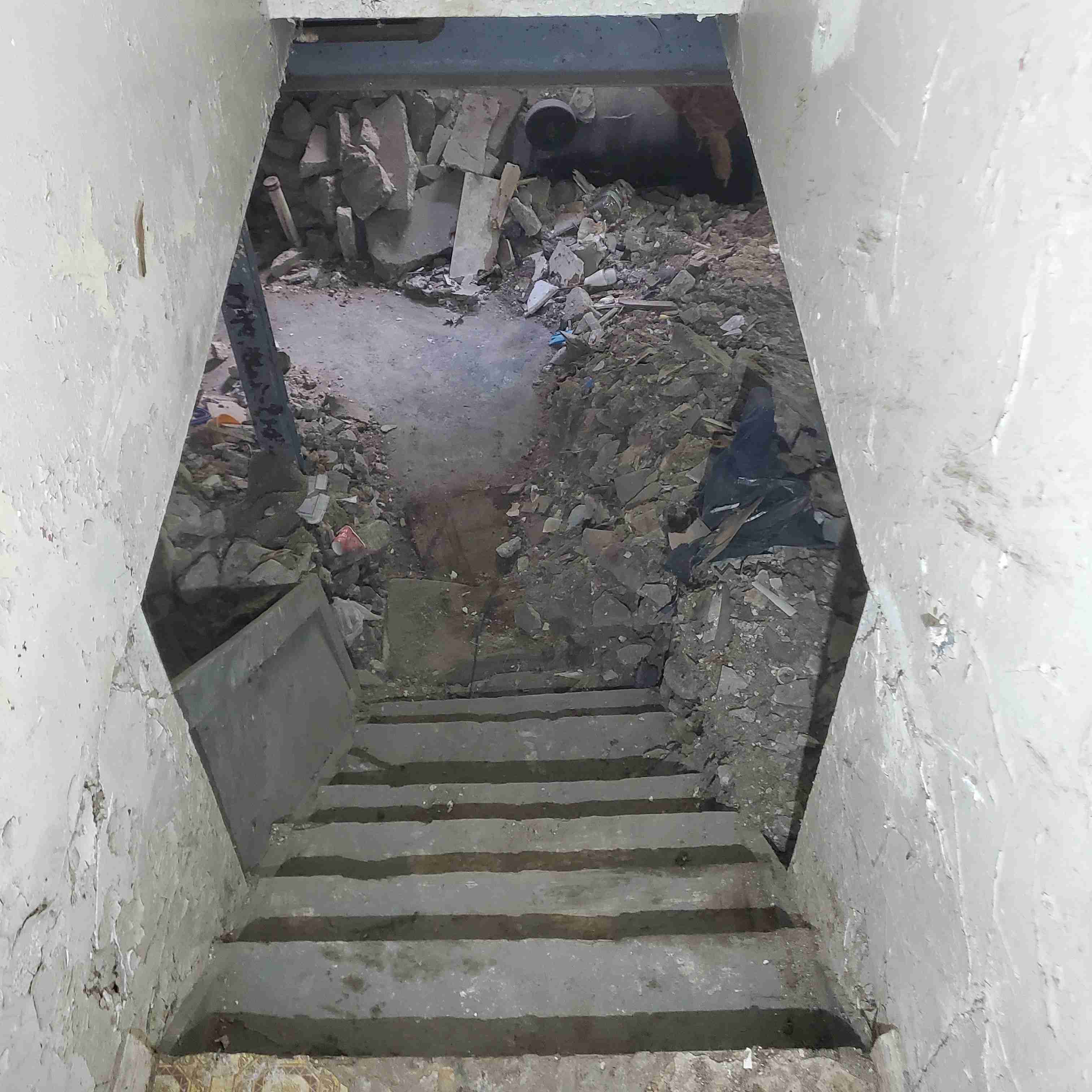 20200812_150845 (2).jpg